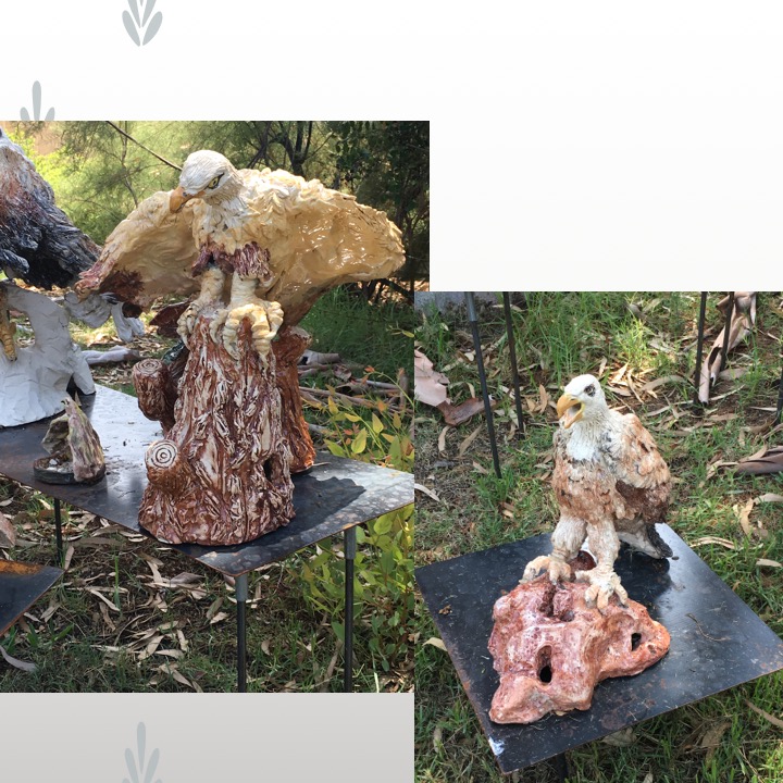 Old People’s Birds by Stephen Pohlmann - Illustrated by The Elderly of Israel - Ourboox.com