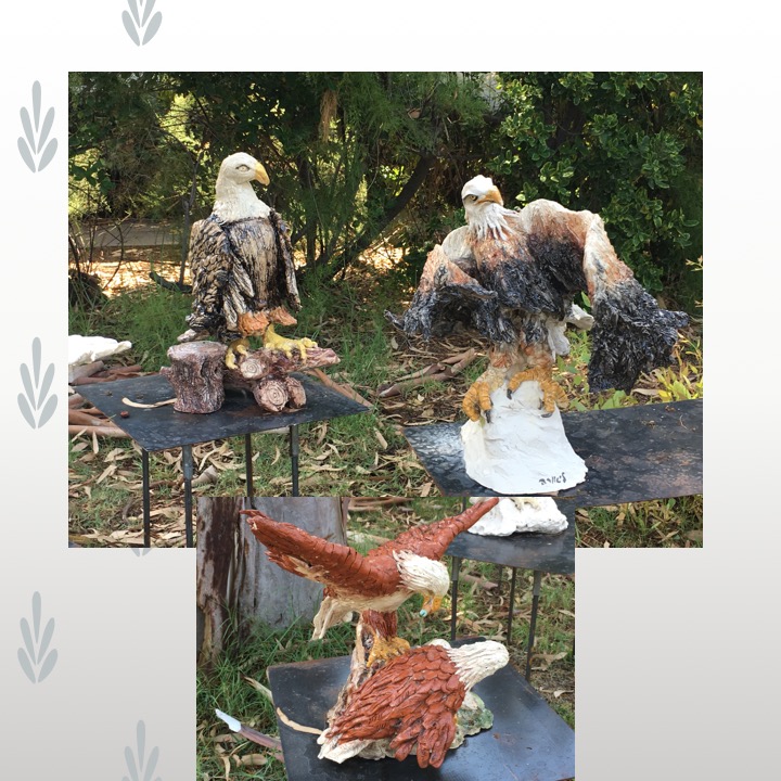 Old People’s Birds by Stephen Pohlmann - Illustrated by The Elderly of Israel - Ourboox.com