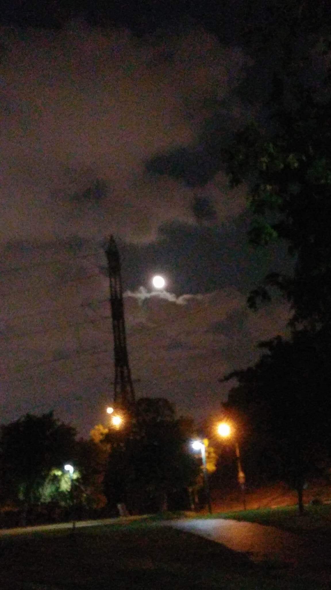 לכתוב ולצייר ירח שירים- שולמית ספיר-נבו 🌙 😊 🌛😍 ציורים וצילומים- אירית סלע גבורי by Shulamit Sapir-Nevo - Illustrated by אירית סלע גבורי - Ourboox.com