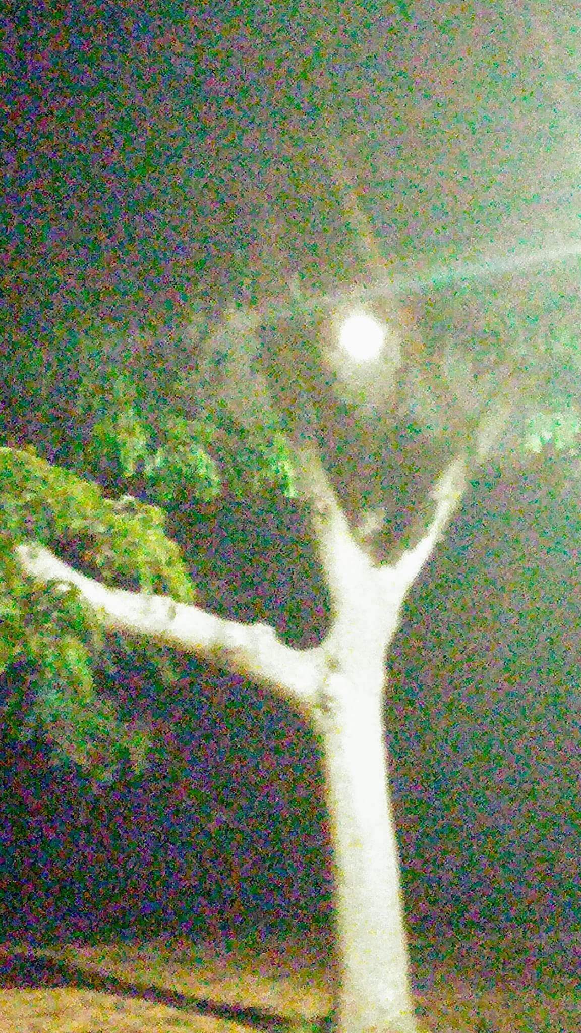 לכתוב ולצייר ירח שירים- שולמית ספיר-נבו 🌙 😊 🌛😍 ציורים וצילומים- אירית סלע גבורי by Shulamit Sapir-Nevo - Illustrated by אירית סלע גבורי - Ourboox.com