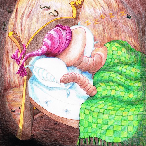 The Early Bird – الطائر المبكر – Arabic Version by Dr. Said Elwardi - سعيد الوردي - Illustrated by Illustrations by Yael Radushkevitz; Arabic version - Fatma Ghader - Ourboox.com