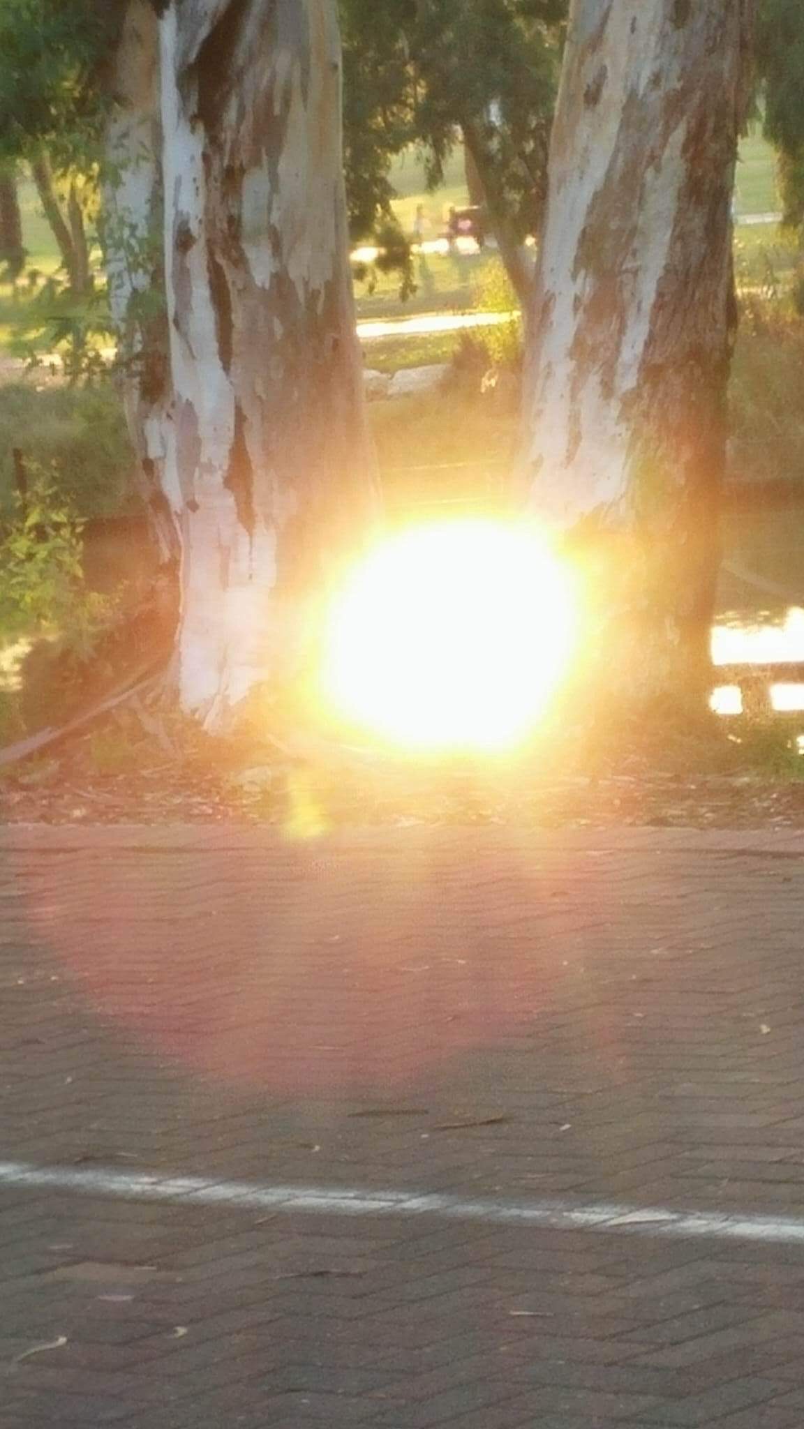 לכתוב ולצייר ירח שירים- שולמית ספיר-נבו 🌙 😊 🌛😍 ציורים וצילומים- אירית סלע גבורי by Shulamit Sapir-Nevo - Illustrated by אירית סלע גבורי - Ourboox.com