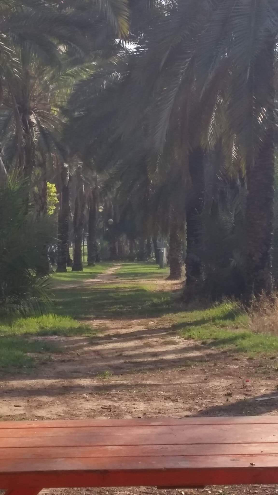 לכתוב ולצייר ירח שירים- שולמית ספיר-נבו 🌙 😊 🌛😍 ציורים וצילומים- אירית סלע גבורי by Shulamit Sapir-Nevo - Illustrated by אירית סלע גבורי - Ourboox.com