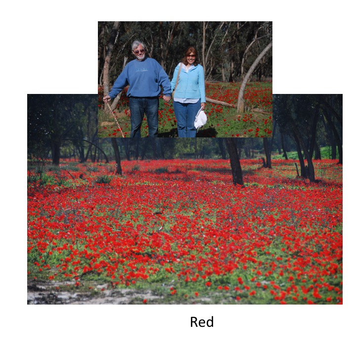 # 136 – Red Alert by Stephen Pohlmann - Ourboox.com