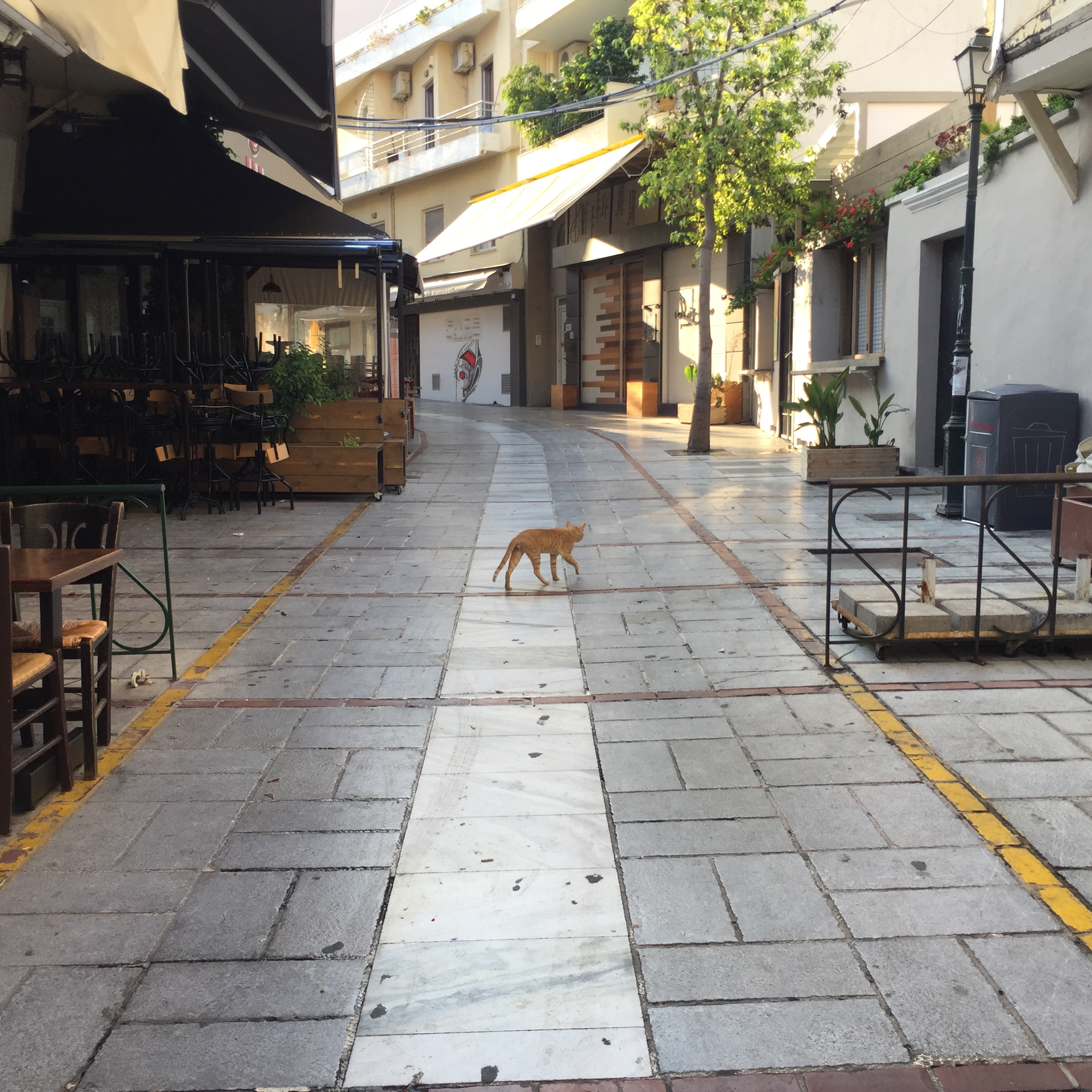 Morning Walks in Heraklion, Crete by Mel Rosenberg - מל רוזנברג - Ourboox.com