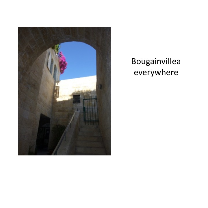 # 155 – Jerusalem & Schavits by Stephen Pohlmann - Ourboox.com