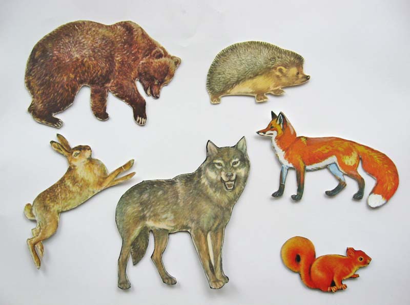 Wild animals Ourboox