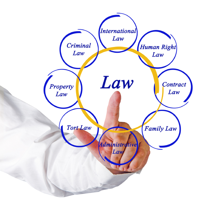 WHAT IS LAW? by Tatiana Kachan - Ourboox.com