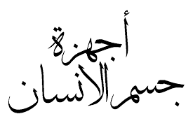 صور جسم الانسان ماهي مكونات جسم الانسان كارز
