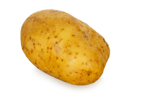 A day in the life of the potato A day in the life of the potato