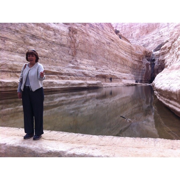 # 224 – The Negev by Stephen Pohlmann - Ourboox.com