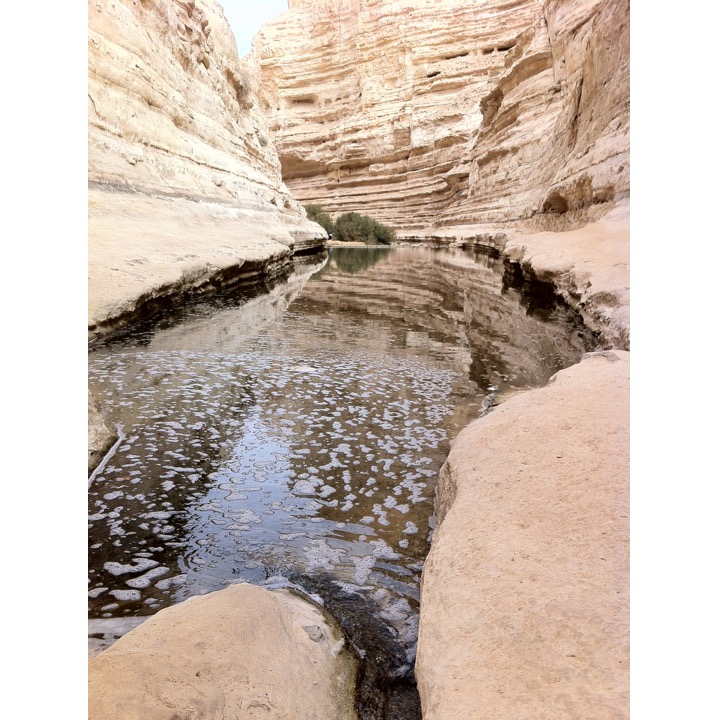 # 224 – The Negev by Stephen Pohlmann - Ourboox.com