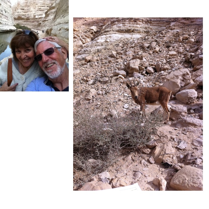 # 224 – The Negev by Stephen Pohlmann - Ourboox.com