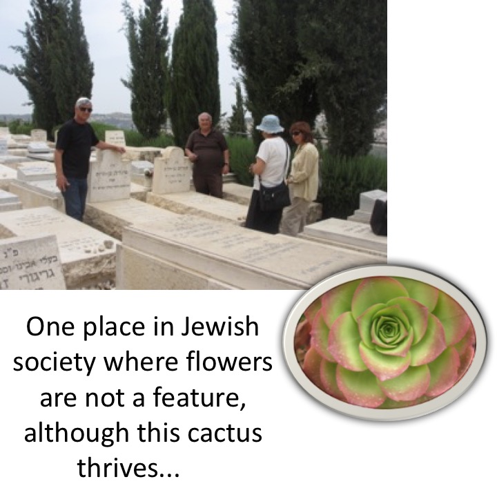 # 233 – Day in Jerusalem by Stephen Pohlmann - Ourboox.com