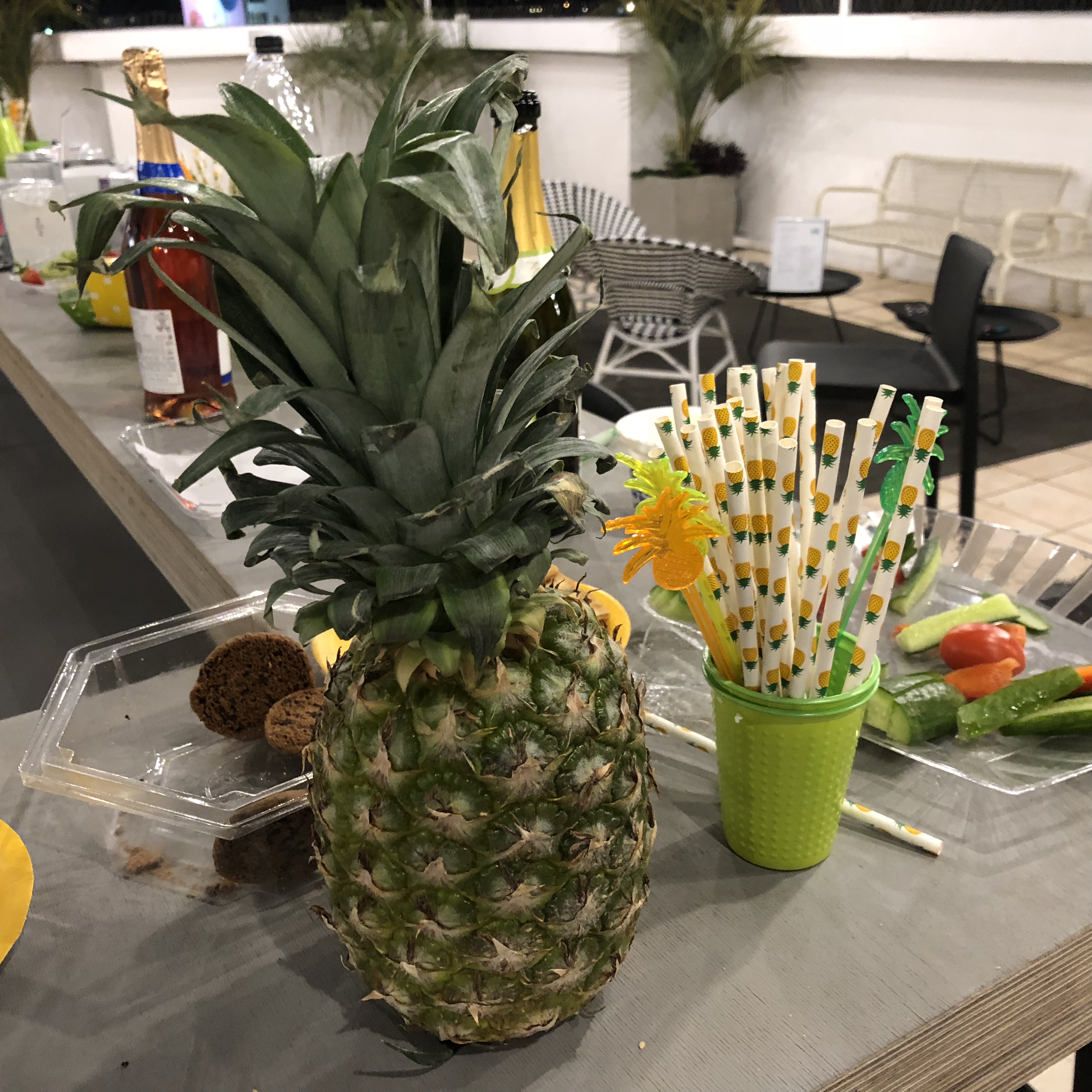 Ananas at Shenkar College – Trying to Forge a Fruity Future for Education by Mel Rosenberg - מל רוזנברג - Ourboox.com
