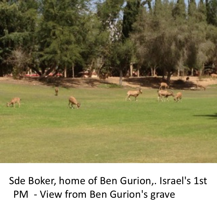 # 239 – 6th Visit to Israel by Stephen Pohlmann - Ourboox.com
