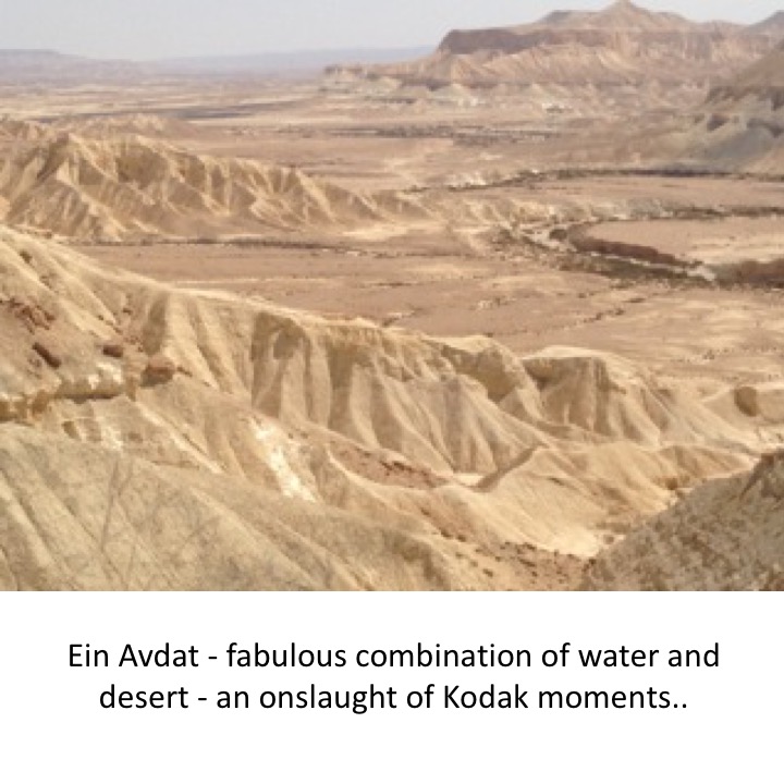 # 239 – 6th Visit to Israel by Stephen Pohlmann - Ourboox.com