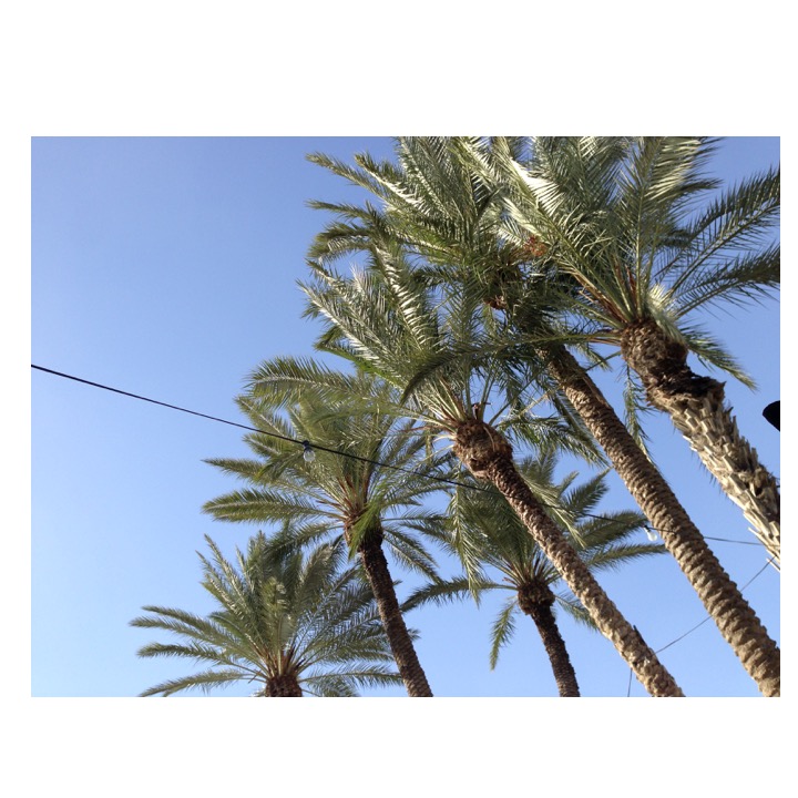 # 239 – 6th Visit to Israel by Stephen Pohlmann - Ourboox.com