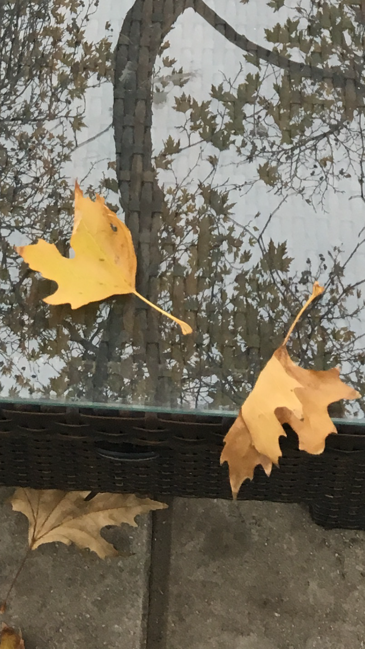 Οι ζεστές ώρες του χειμώνα στα Κουφάλια, Ελλάδα *Winter warmth in Koufalia, Greece by Shuli Sapir-Nevo Photo and Motto - Illustrated by Shulamit Sapir- Nevo - Ourboox.com