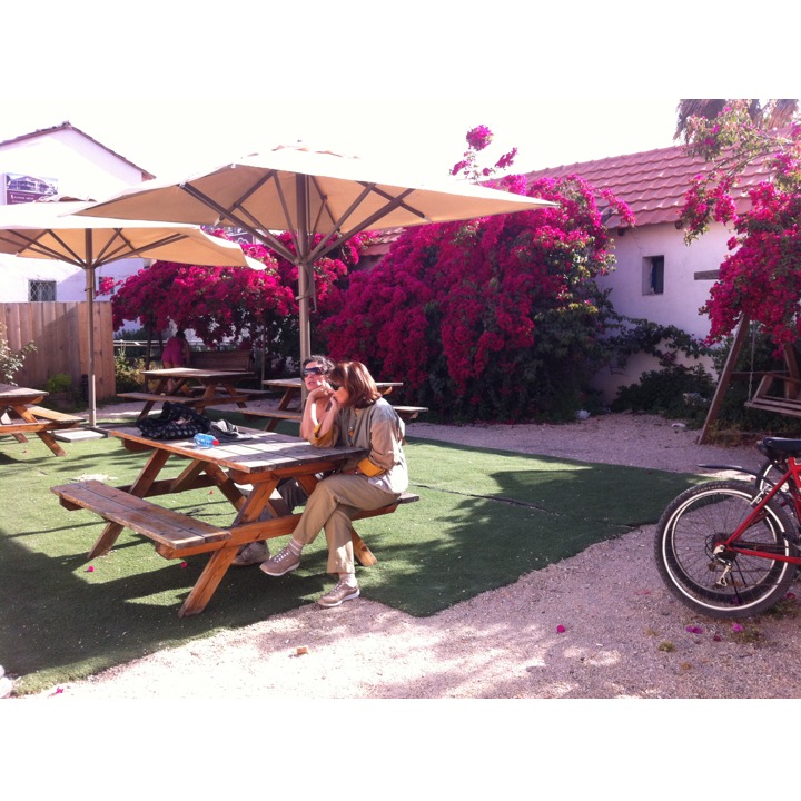 # 231 – Bougainvillea & Benji by Stephen Pohlmann - Ourboox.com