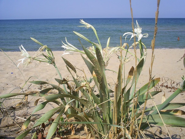Keep Endangered Species in Bulgaria! by