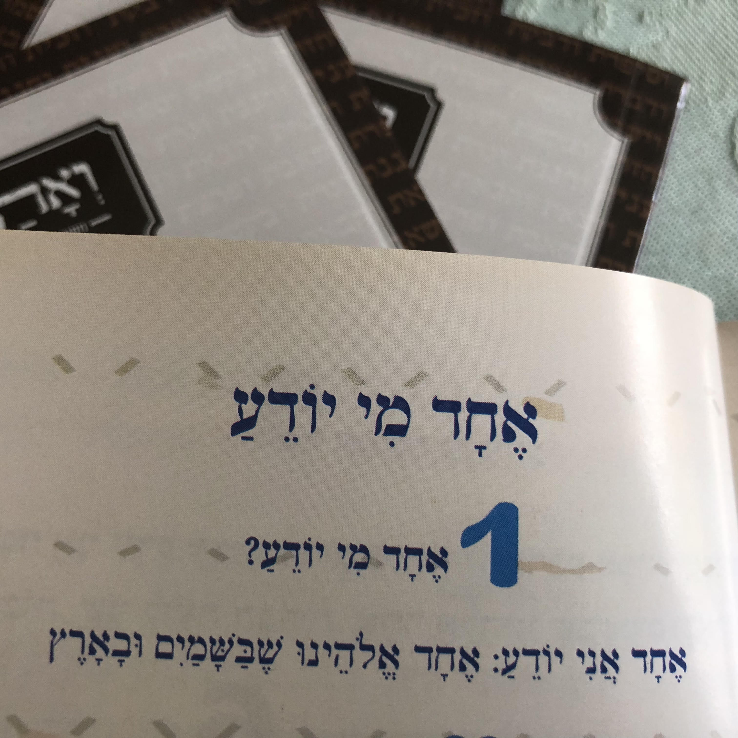 והגדת לבנך פסח by Shuli Sapir-Nevo Photo and Motto - Illustrated by Shulamit Sapir- Nevo - Ourboox.com