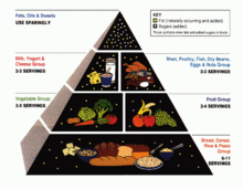 Food by ruth - Illustrated by Ruth Nader - Ourboox.com