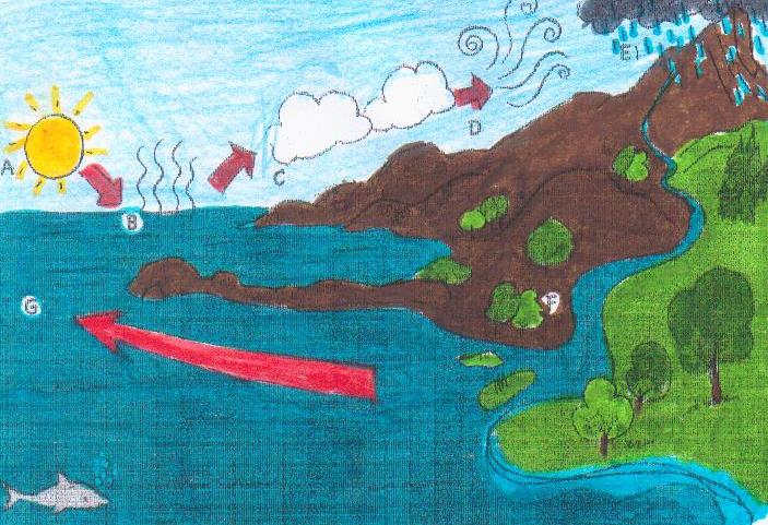 # L’ ACQUA … UN BISOGNO PER L’UOMO by maestra emy - Illustrated by alunni classi quinte sez. A - B I.C.Nunzio Nasi di Trapani - Ourboox.com