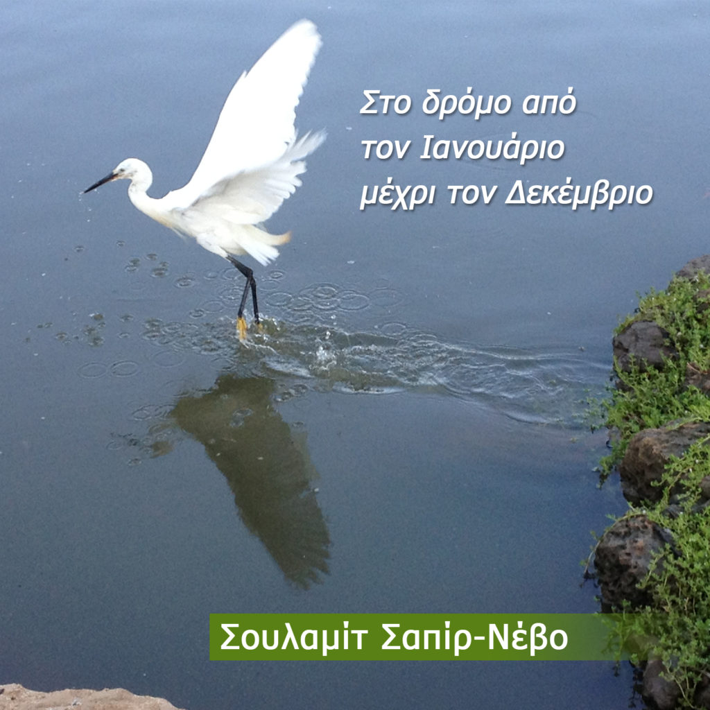 Στο δρόμο από τον Ιανουάριο μέχρι τον Δεκέμβριο by Shulamit Sapir-Nevo - Illustrated by Σουλαμίτ Σαπίρ-Νεβό - Ourboox.com Στο δρόμο από τον Ιανουάριο μέχρι τον Δεκέμβριο by Shulamit Sapir-Nevo - Illustrated by Σουλαμίτ Σαπίρ-Νεβό - Ourboox.com