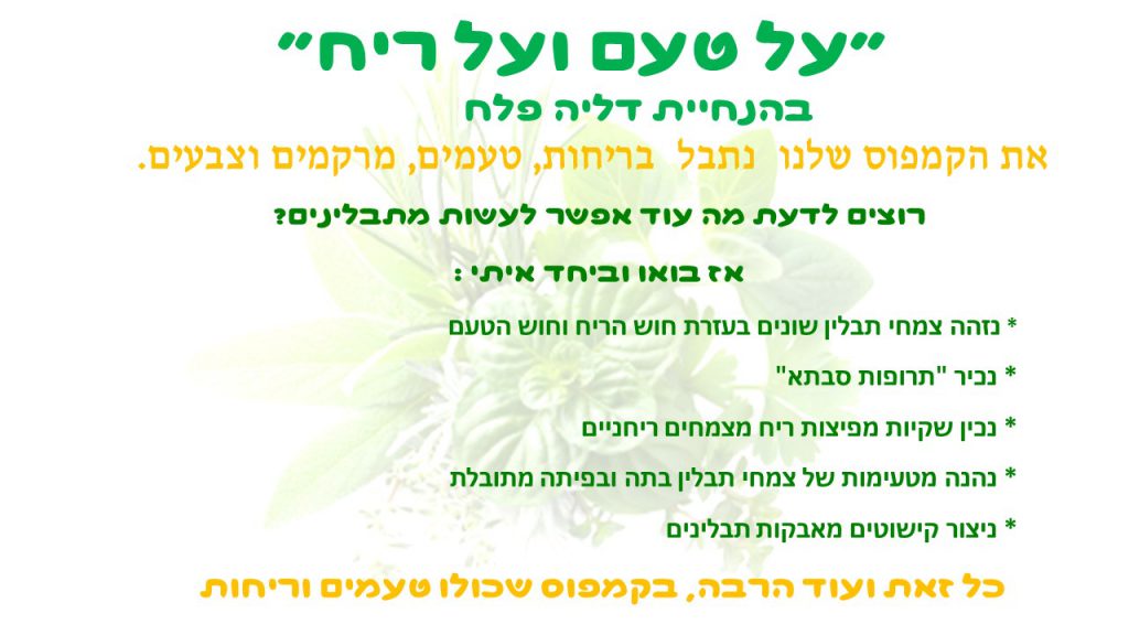 ספר הקמפוסים של “אלונים” by Dalia Falach - Ourboox.com