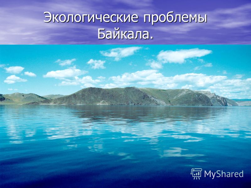 Волга экология проблемы