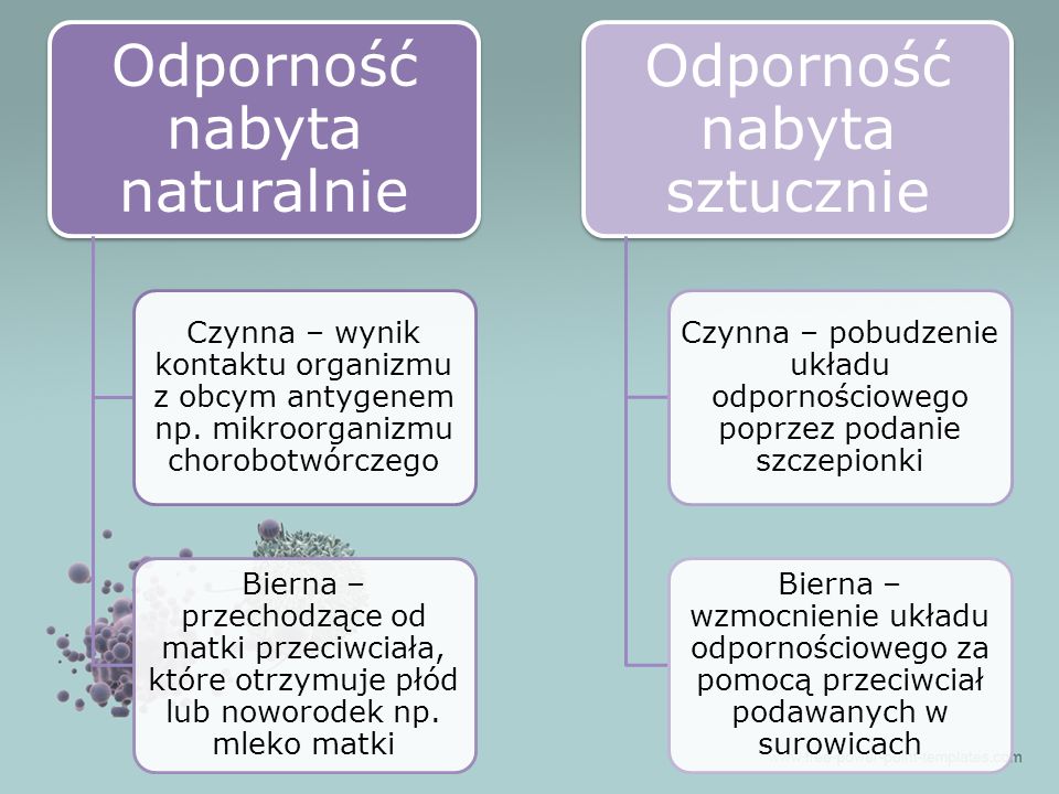 Sprawdzian Z Biologii Uklad Odpornosciowy uklad odpornosciowy - Ourboox
