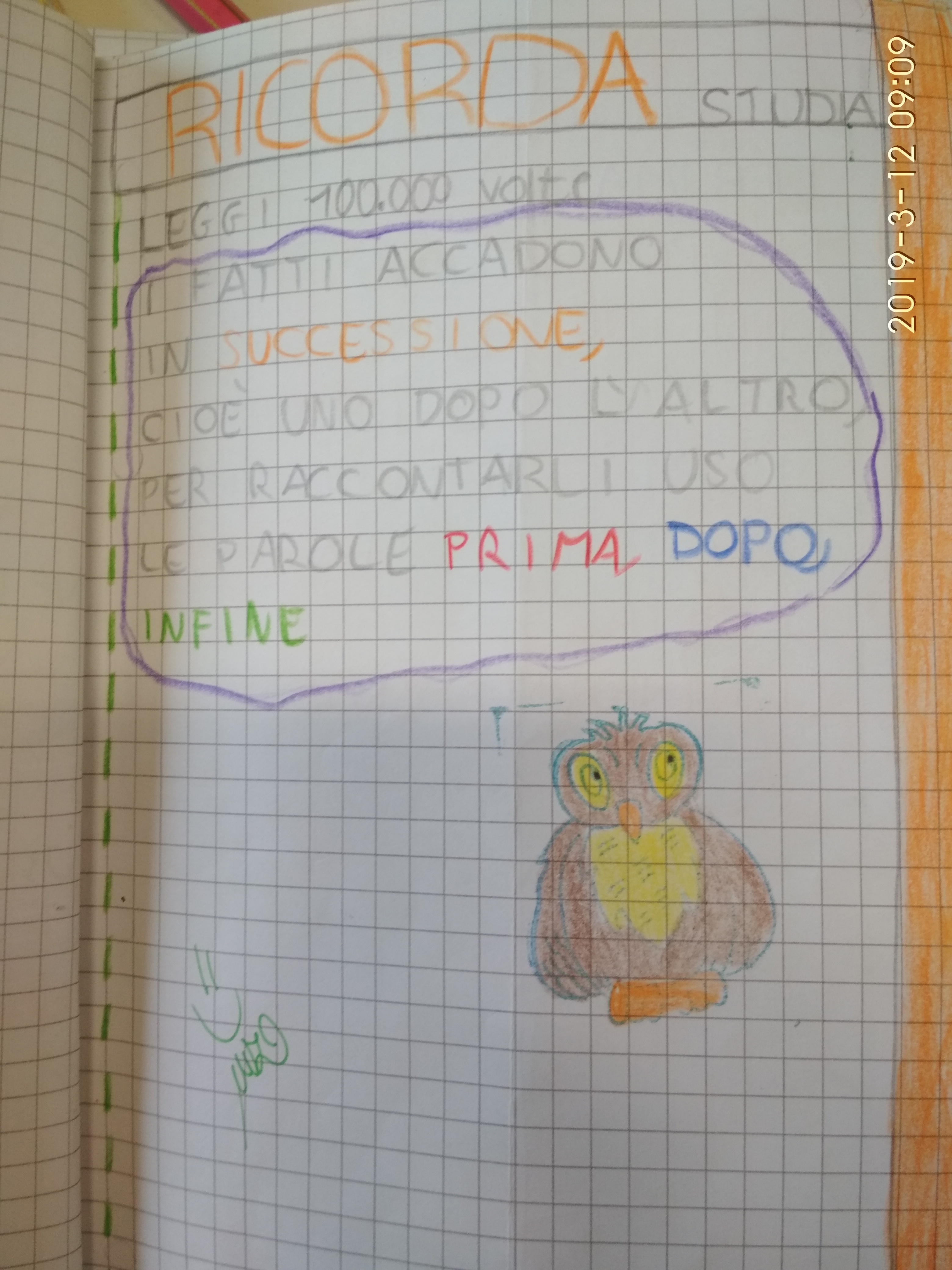 Mrs D. in 1st Grade-STO by Mrs D. - Illustrated by Kids & Mrs D. - Ourboox.com