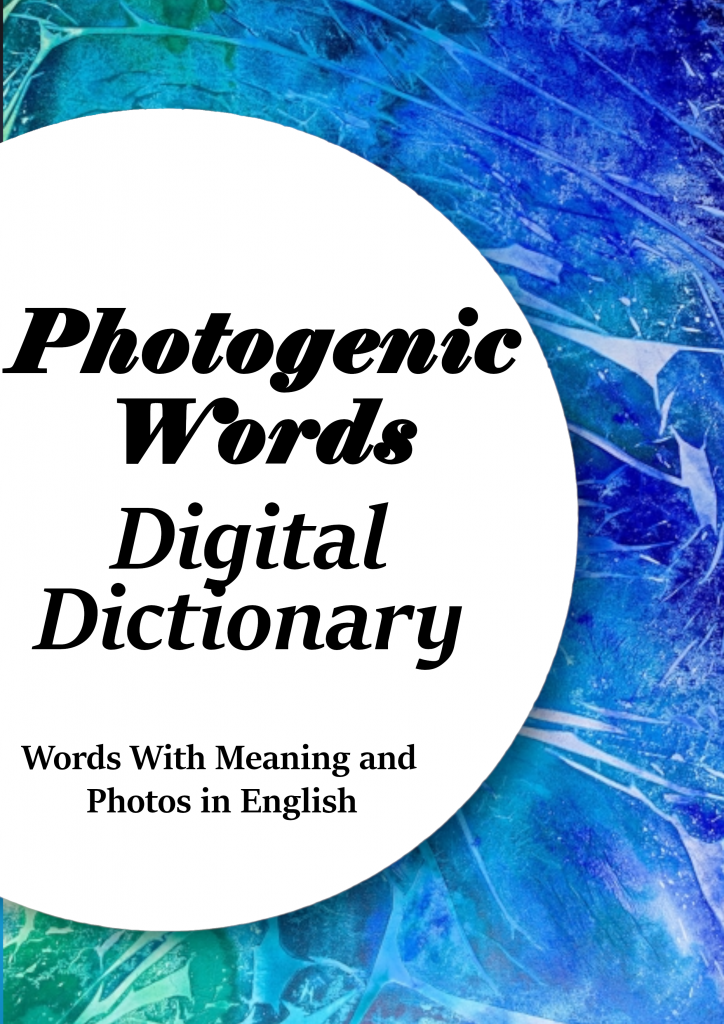 Photogenic Word EDictionary Ourboox