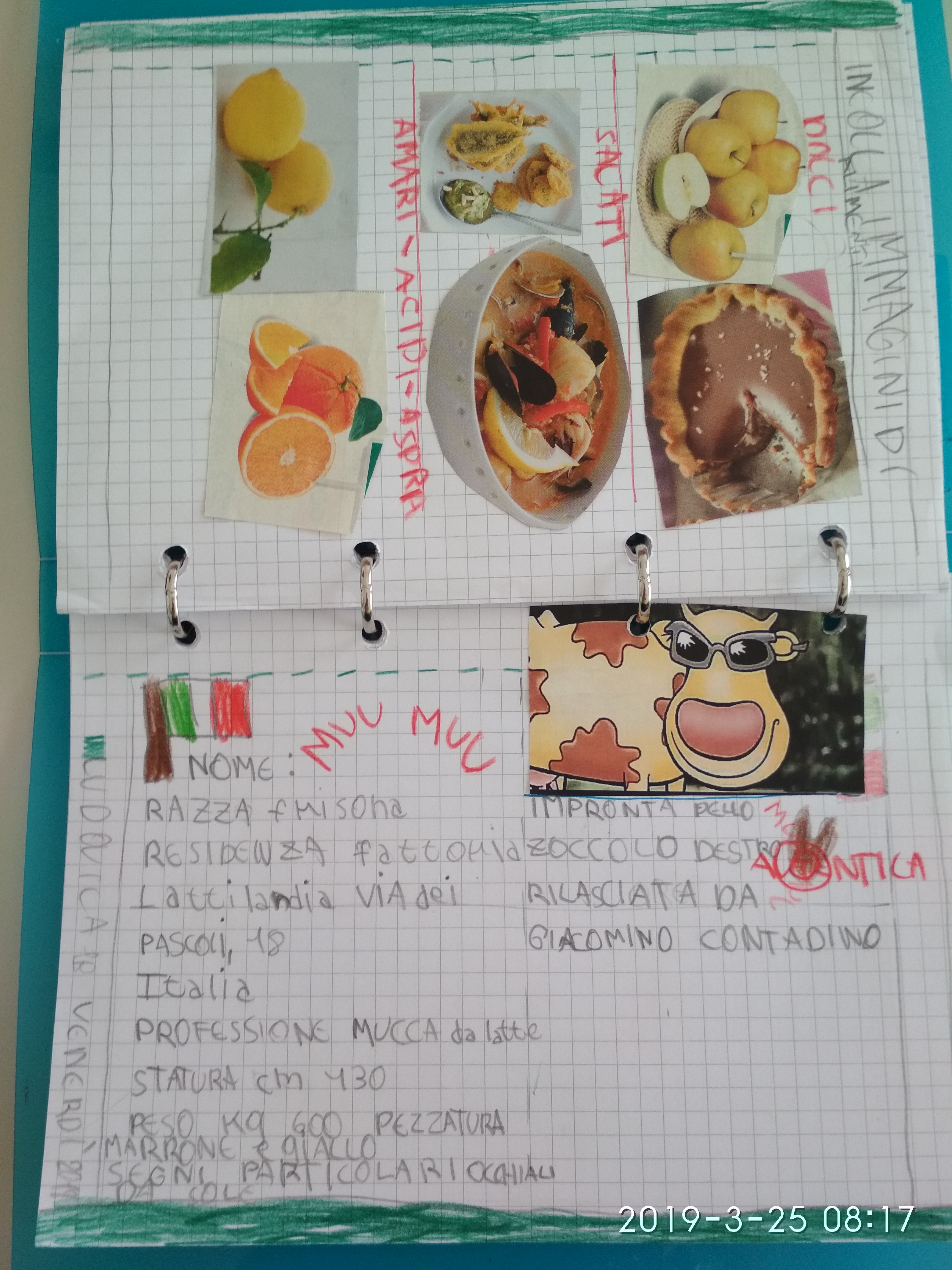 MU MU &our 5 senses Wanted! Nella Valle dei trulli…cercasi la “Mucca MU MU! by Mrs D. - Illustrated by Mrs D.'s 1st classes - Ourboox.com