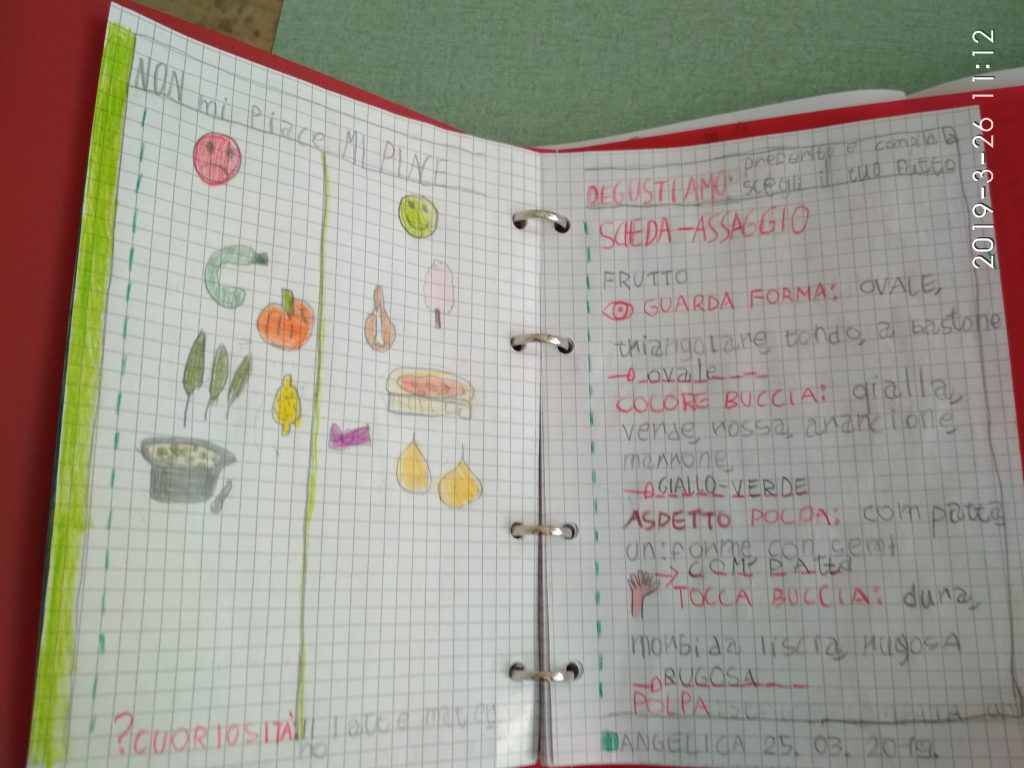 MU MU &our 5 senses Wanted! Nella Valle dei trulli…cercasi la “Mucca MU MU! by Mrs D. - Illustrated by Mrs D.'s 1st classes - Ourboox.com