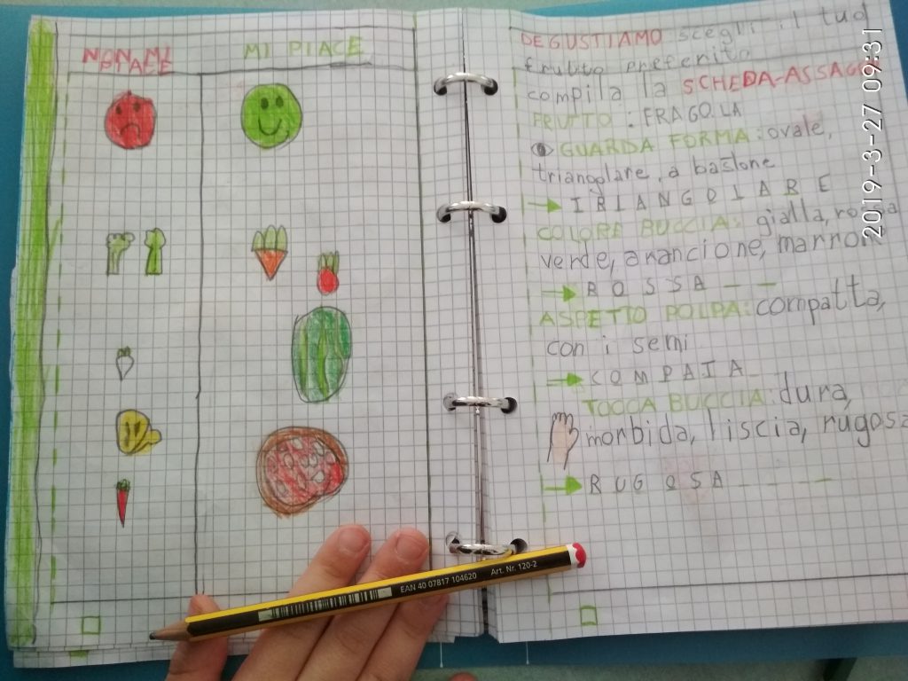 MU MU &our 5 senses Wanted! Nella Valle dei trulli…cercasi la “Mucca MU MU! by Mrs D. - Illustrated by Mrs D.'s 1st classes - Ourboox.com