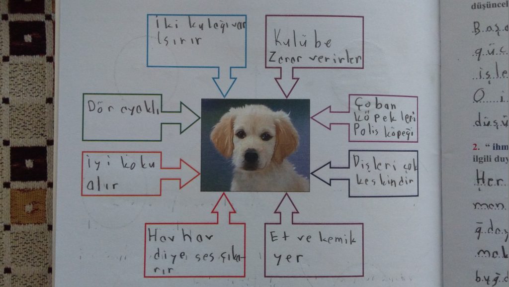 KÜÇÜK YAZARLAR ATÖLYESİ by Ahmet KAS - Ourboox.com