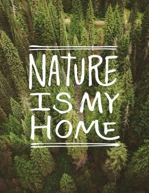 Little Schools Outdoor – Best activities by Vittoria Volterrani - Illustrated by All project partners - Ourboox.com