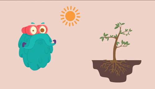 البناء الضوئي by ayat - Illustrated by ايات عطون - Ourboox.com