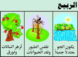 فصول السنة الأربعة by aya - Illustrated by ايه سلامة - Ourboox.com