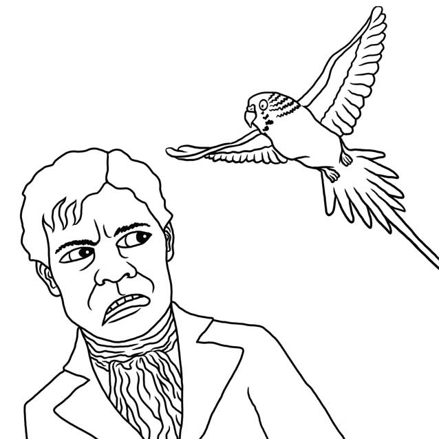 The Budgie by Nick Baker - Illustrated by Sadie Giraud - Ourboox.com
