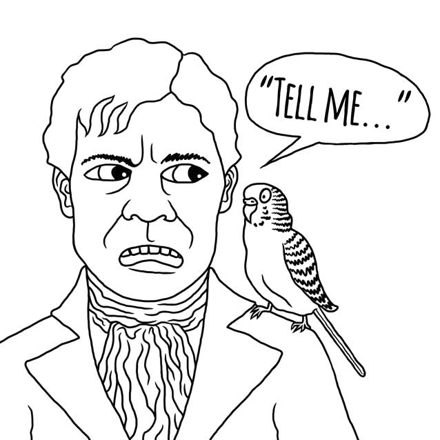 The Budgie by Nick Baker - Illustrated by Sadie Giraud - Ourboox.com