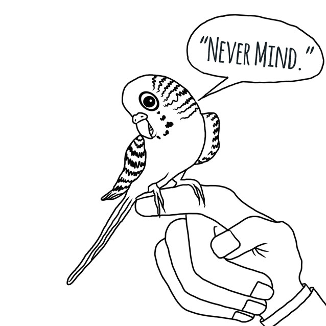 The Budgie by Nick Baker - Illustrated by Sadie Giraud - Ourboox.com