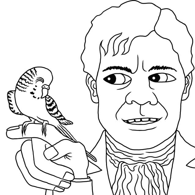 The Budgie by Nick Baker - Illustrated by Sadie Giraud - Ourboox.com