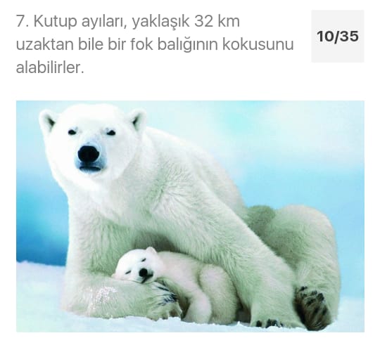 Çarşıbaşı Anadolu Lisesi Hayvanlarla Hayatına Değer Kat Projesi by azize kaya - Illustrated by Mervenur Eski - Ourboox.com