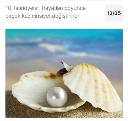 Çarşıbaşı Anadolu Lisesi Hayvanlarla Hayatına Değer Kat Projesi by azize kaya - Illustrated by Mervenur Eski - Ourboox.com