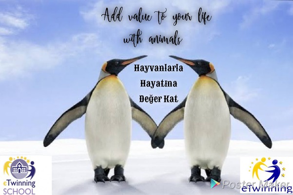 Çarşıbaşı Anadolu Lisesi Hayvanlarla Hayatına Değer Kat Projesi by azize kaya - Illustrated by Mervenur Eski - Ourboox.com Çarşıbaşı Anadolu Lisesi Hayvanlarla Hayatına Değer Kat Projesi by azize kaya - Illustrated by Mervenur Eski - Ourboox.com