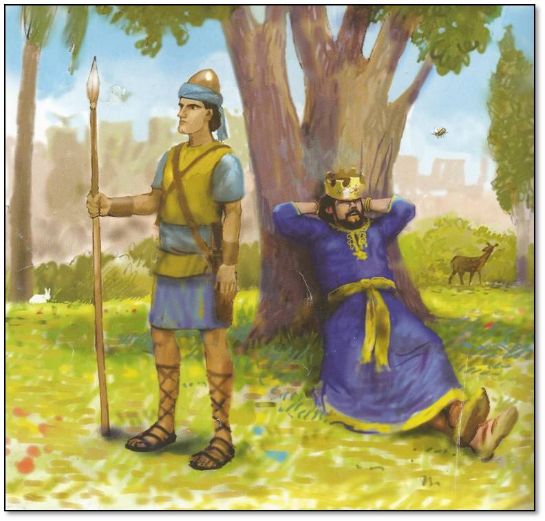 שלמה המלך והדבורה por chagit - Ilustrado por אבי כץ - Ourboox.com