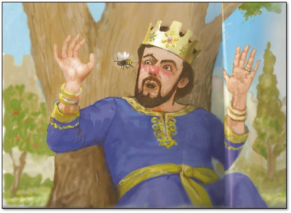 שלמה המלך והדבורה por chagit - Ilustrado por אבי כץ - Ourboox.com